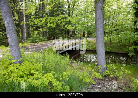 Zlatá stoka, Trebon, Jizni Cechy, Ceska Republika/Golden Canal, Trebon, Southa Böhmen, Tschechische Republik Stockfoto