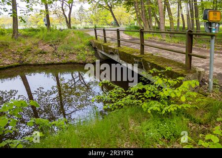 Zlatá stoka, Trebon, Jizni Cechy, Ceska Republika/Golden Canal, Trebon, Southa Böhmen, Tschechische Republik Stockfoto