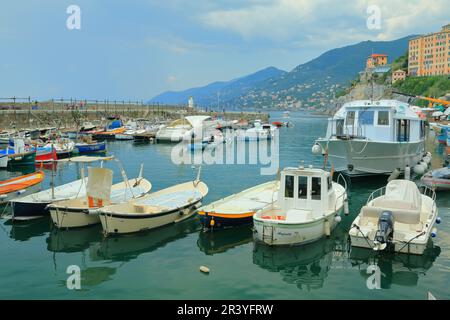 Boote und Schneidevorrichtungen parken im Hafen des Ferienorts Bogliasco, Ligurien. Stockfoto