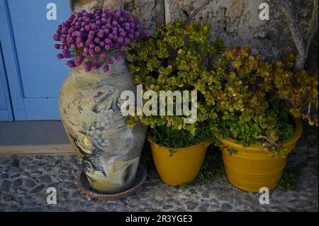 Traditionelle, handgefertigte, glasierte Tontöpfe mit Geranien auf einer handgefertigten Steinwand in Marzamemi Sizilien, Italien. Stockfoto