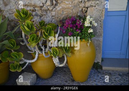 Traditionelle, handgefertigte, glasierte Tontöpfe mit Geranien auf einer handgefertigten Steinwand in Marzamemi Sizilien, Italien. Stockfoto