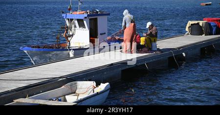 Einheimische Fischer, die ihre Fischernetze im Hafen von Marzamemi in Sizilien (Italien) reparieren. Stockfoto