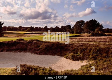 Walton Heath Golf Club, Surrey, Großbritannien - Austragungsort der AIG WomenÕs Open im August 2023 Stockfoto