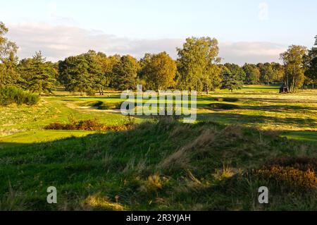 Walton Heath Golf Club, Surrey, Großbritannien - Austragungsort der AIG WomenÕs Open im August 2023 Stockfoto