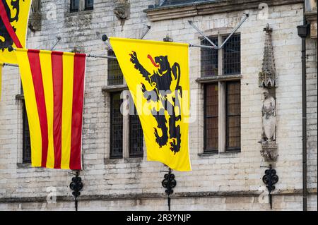 Dendermonde, Ostflandern, Belgien - 1. Mai 2023 - Lokale Flagge und Flagge der Region Flandern im Rathaus Stockfoto