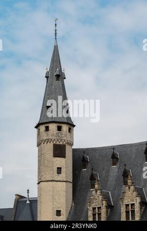 Dendermonde, Ostflandern, Belgien - 1. Mai 2023 - Turm der historischen Metzgerhalle Stockfoto