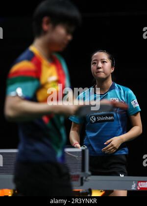 Durban, Südafrika. 25. Mai 2023. Shin Yubin (R) aus Südkorea reagiert während des 16. Frauenspiels gegen Sun Yingsha aus China bei den ITTF Table Tennis World Championships Finals 2023 in Durban, Südafrika, 25. Mai 2023. Kredit: Han Xu/Xinhua/Alamy Live News Stockfoto