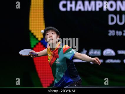 Durban, Südafrika. 25. Mai 2023. Sun Yingsha of China spielt während der Singles-Runde 16 gegen Shin Yubin aus Südkorea bei den ITTF Table Tennis World Championships Finals 2023 in Durban, Südafrika, am 25. Mai 2023. Kredit: Han Xu/Xinhua/Alamy Live News Stockfoto