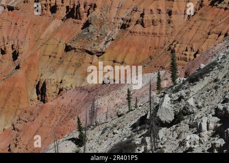 Cedar Breaks NM, die Krönung der Grand Staircase, befindet sich auf über 10.000 m Höhe und blickt hinunter in ein ca. 800 m tiefes geologisches Wunder eines Amphitheaters. Stockfoto