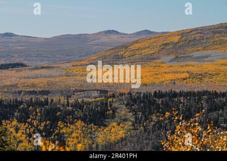 Cedar Breaks NM, die Krönung der Grand Staircase, befindet sich auf über 10.000 m Höhe und blickt hinunter in ein ca. 800 m tiefes geologisches Wunder eines Amphitheaters. Stockfoto