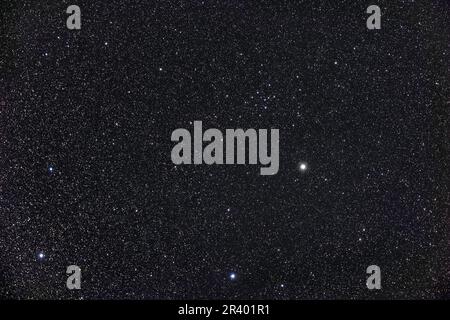 Das große und dünn besiedelte offene Cluster in Ophiuchus, bekannt als IC 4665. Stockfoto