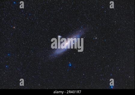 Messier 31, die Andromeda-Galaxie. Stockfoto