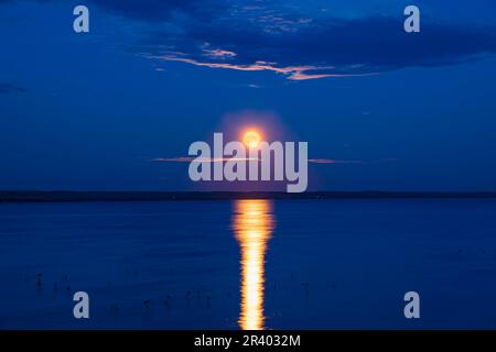 Der aufsteigende Erdbeermond am 24. Juni 2021 mit Wolken über dem McGregor Lake im Süden Albertas, Kanada. Stockfoto