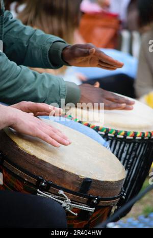 Drummer-Hände spielen die ethnische Djembe-Trommel. Stockfoto