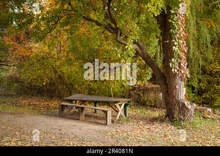 Eine einsame Bank und ein Tisch in einem verlassenen Park. Stockfoto