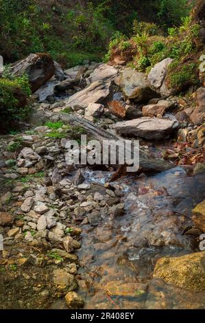 Wasser fließt flussabwärts, wunderschöner Wasserfall im Himalaya-Wald, Sikkim, Indien. Sikkim hat viele malerische Wasserfälle im ganzen Bundesstaat. Stockfoto