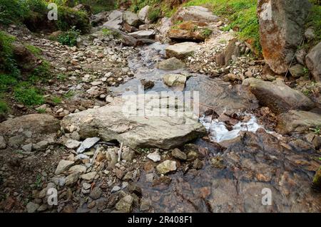 Wasser fließt durch Steine, wunderschöner Wasserfall im Himalaya-Wald, Sikkim, Indien. Sikkim hat viele malerische Wasserfälle im ganzen Bundesstaat. Stockfoto