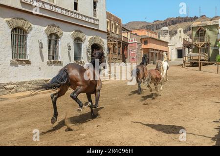 Gran Canaria - 2023. April: Atemberaubende Wildpferde im Wildwest-Park von Sioux City. Es erfasst die Essenz der amerikanischen Grenzvermittlung Stockfoto