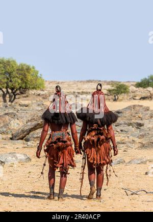 Zwei Frauen des Himba-Stammes laufen in Nationalkleidung durch die Wüste. Stockfoto