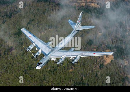 Ein strategischer TU-95MS-Bomber der russischen Luftwaffe, der über einen Wald von Bäumen in Russland fliegt. Stockfoto