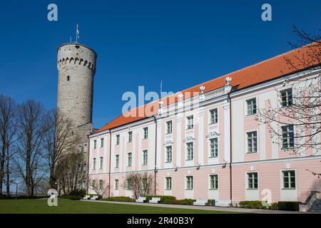 Pika Hermanni zerrissen und parlamentsgebäude vor klarem blauen Himmel an einem sonnigen Frühlingstag in Vanalinn, der Altstadt von Tallinn, Estland Stockfoto