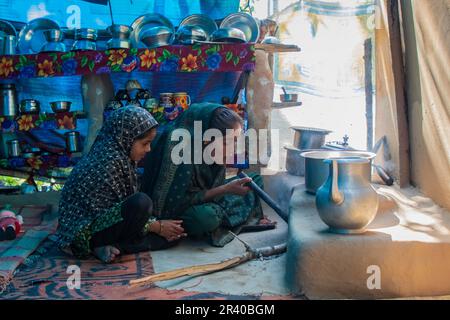 Srinagar, Indien. 25. Mai 2023. Die nomadische Familie Bakarwal aus Kashmiri bereitet Mahlzeiten zu, während sie ihr temporäres Lager am Straßenrand am Stadtrand von Pulwama, südlich von Srinagar, aufbaut. Bakarwals sind nomadische Tierhirten im Bundesstaat Jammu Kaschmir, die auf der Suche nach guten Weiden für ihre Rinder wandern. (Foto: Faisal Bashir/SOPA Images/Sipa USA) Guthaben: SIPA USA/Alamy Live News Stockfoto