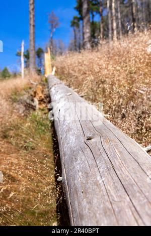 Eindrücke aus Ilsenburg Harz und Umgebung Stockfoto