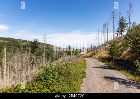 Eindrücke aus Ilsenburg Harz und Umgebung Stockfoto