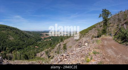 Eindrücke aus Ilsenburg Harz und Umgebung Stockfoto