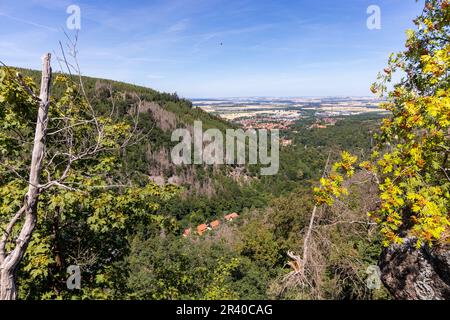Eindrücke aus Ilsenburg Harz und Umgebung Stockfoto