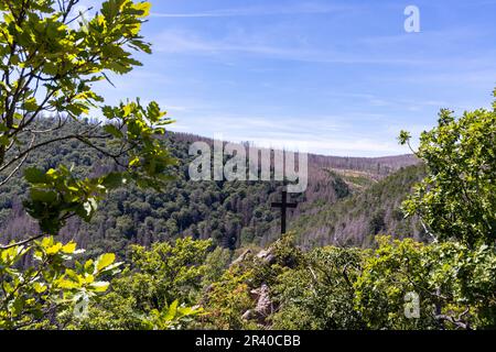 Eindrücke aus Ilsenburg Harz und Umgebung Stockfoto