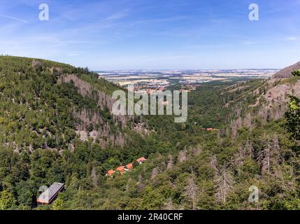 Eindrücke aus Ilsenburg Harz und Umgebung Stockfoto
