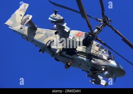 Ein Ka-52-Angriffshubschrauber der russischen Luftwaffe, der einen Demonstrationsflug durchführt. Stockfoto