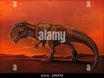 Giganotosaurus, der in der Wüste Patagoniens spaziert. Stockfoto