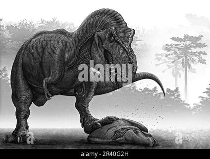 Tyrannosaurus rex steht über seiner jüngsten Ermordung, einem jungen Edmonstosaurus. Stockfoto