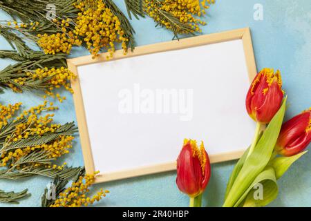 Blühende Tulpen, Mimosa mit Fotorahmen auf blauem Hintergrund. Frühlingskonzept, Blumenzusammensetzung. Grußkarte. Blick von oben Stockfoto