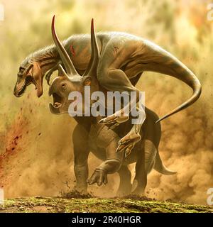 Triceratops vs. Ein jugendlicher T-rex. Stockfoto