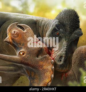 Tyrannosaurus rex jagt einen Triceratops. Stockfoto