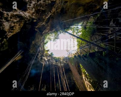 Blick auf Eine wunderschöne Cenote in der Nähe von Cuzama, Yucatan, Mexiko Stockfoto