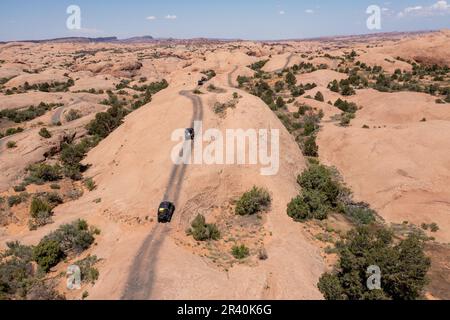 OHVs oder Off Highway-Fahrzeuge fahren über die Sandsteinkuppeln des Fins & Things Trail in der Nähe von Moab, Utah. Stockfoto