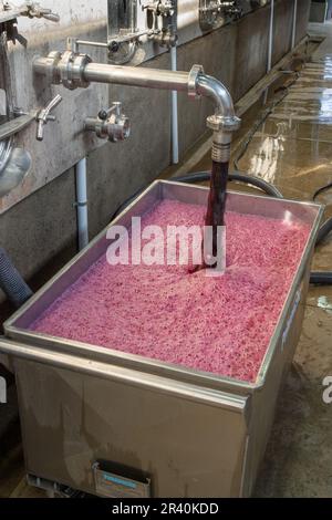 Der Wein wird abgetropft und zurück in das Weinfass gepumpt, um in der Weinkellerei Los Cuadros, Gualtallary, Tupungato, Mendoza, Argentinien zirkulieren zu können. Stockfoto