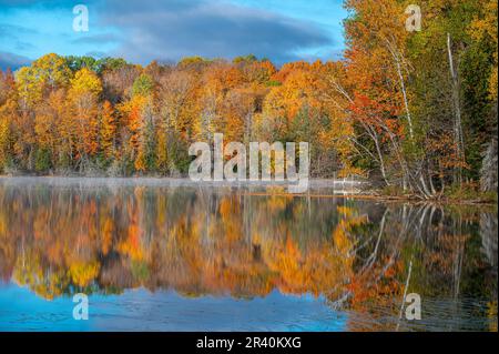 Wunderschöne Herbstfarben spiegeln sich im Wasser eines nördlichen Wisconsin-Sees mit einem frühen Morgennebel über dem Wasser wider. Stockfoto