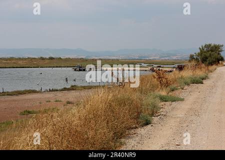 Delta Evros Nationalpark, Evros Thraki Griechenland Stockfoto