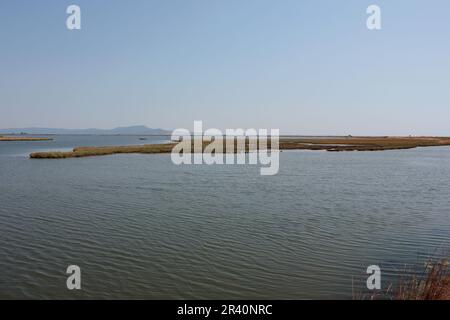 Delta Evros Nationalpark, Evros Thraki Griechenland Stockfoto