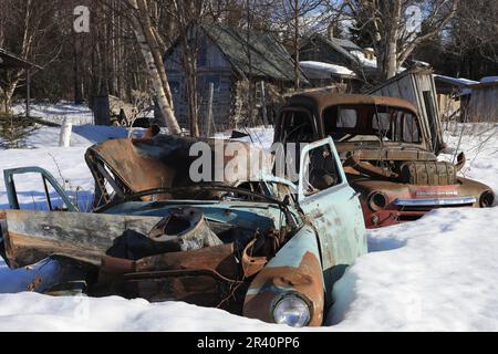 Verlassene alte Autos Stockfoto