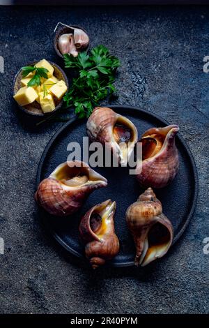 Rohstoffe riesige ESCARGOT vom Pazifischen Ozean. Chilenische großen Schnecken, Butter, Knoblauch und Petersilie. Stockfoto