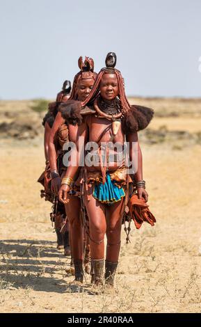 Eine Gruppe von Frauen des Himba-Stammes wandert in Nationalkleidung durch die Wüste. Stockfoto