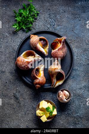 Rohstoffe riesige ESCARGOT vom Pazifischen Ozean. Chilenische großen Schnecken, Butter, Knoblauch und Petersilie. Stockfoto