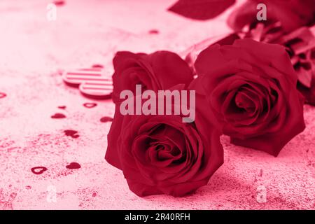 Valentinstagskonzept. Einrichtung mit roten Rosen und Herzdesign. Draufsicht flach liegend. Trendige Farbe des Jahres 2023 - Viva Magenta. Stockfoto
