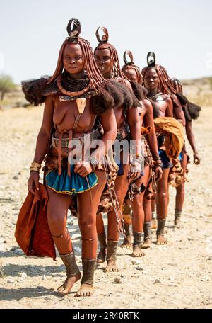 Eine Gruppe von Frauen des Himba-Stammes wandert in Nationalkleidung durch die Wüste. Stockfoto